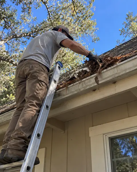 A crew member on a ladder pulling a gloved handful of packed pine needles out of a gutter under an oak