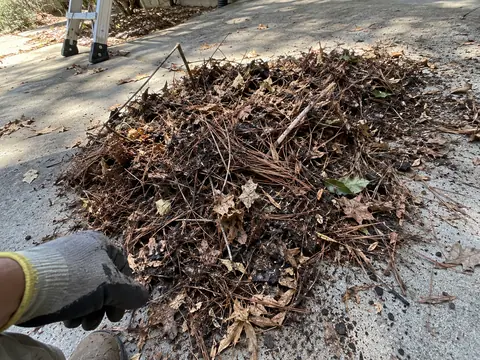 A pile of wet needles, oak leaves and muck pulled out of the gutters, on a driveway beside a ladder