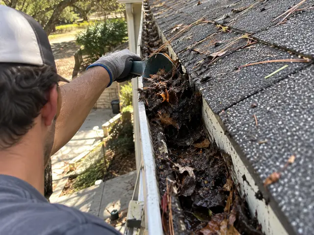 A crew member scooping wet leaves and needles out of a gutter with a hand scoop