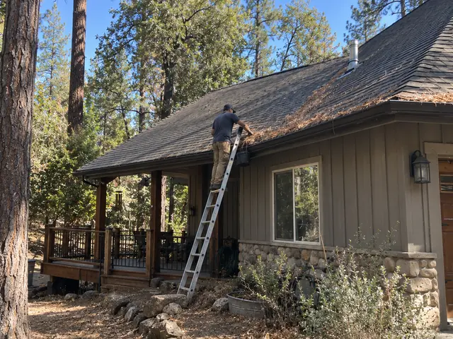 A crew member on a ladder at the roof edge of a cabin under tall pines, with needles piled along the roof